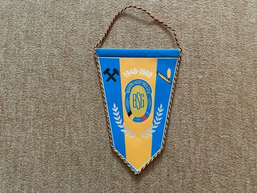 Gagliardetto anni bsg - gagliardetto,